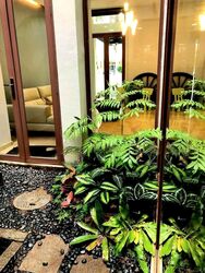 Eastwood Drive (D16), Terrace #449376961